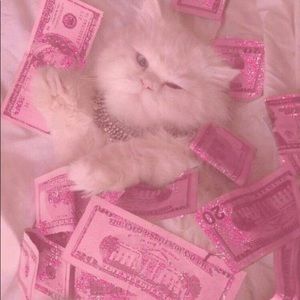 Meet your Posher, Ceil